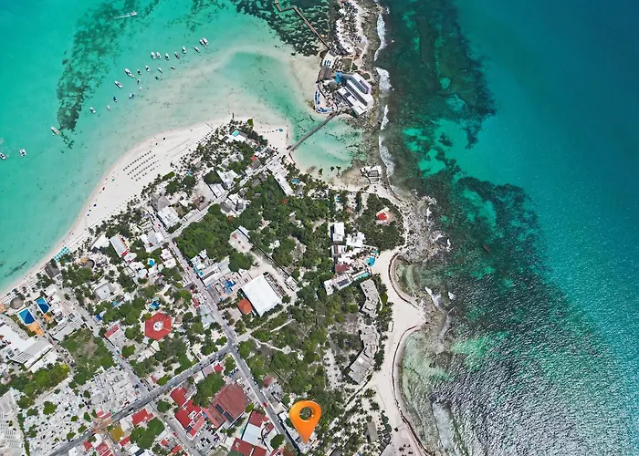 Casa Alkimia Town